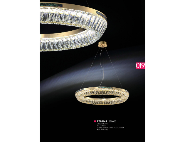 T7019-1