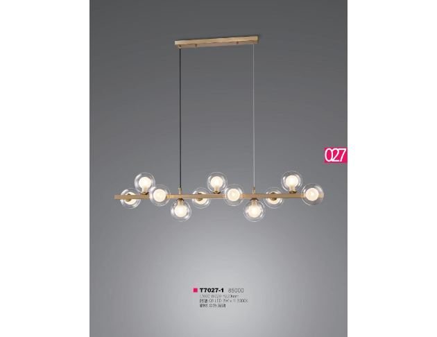 T7027-1